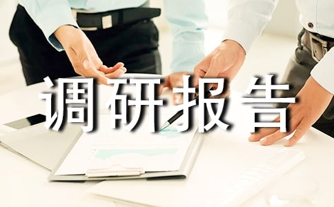 旅游調研報告