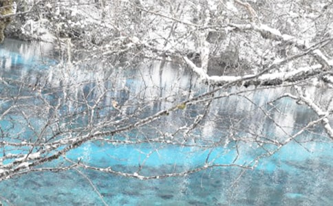 ������ɢ��