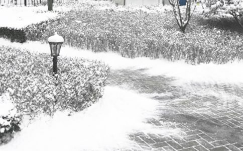 ������(w��n)���Z(y��)����