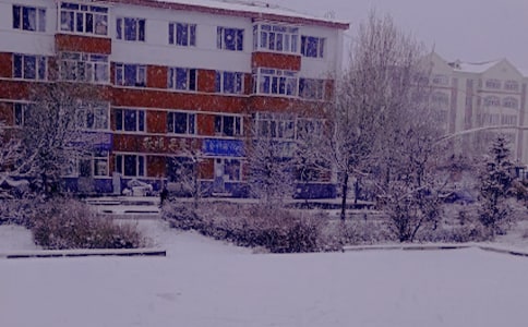 ���ո�Ц����