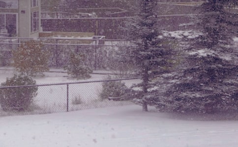 冬日暖陽350字作文