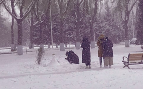 冬日暖陽作文精選(15篇)