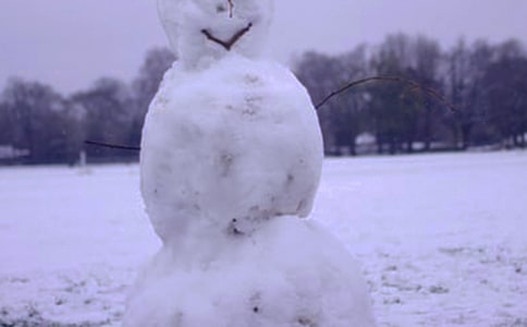 ͯȤ��������Ƥ�\��Ұ�ݳԂ�����^�ˇ����죬�I��һ��ë������һ����i�Z