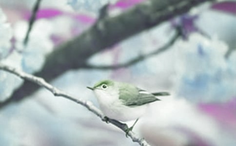 �^���ֲ����ӛ�����x21ƪ��