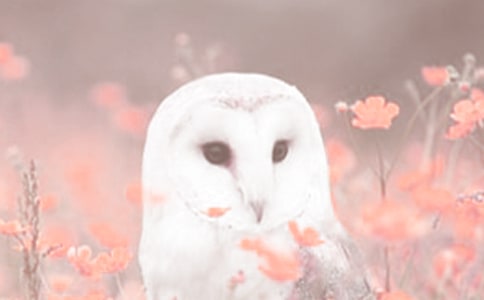 �^���(d��ng)ֲ�������100�֣����x54ƪ��