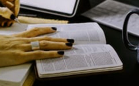 ���h���x��С��؂�14ƪ��