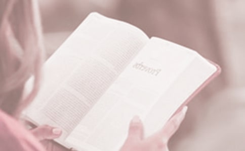 關(guān)于讀書日活動方案(通用15篇)