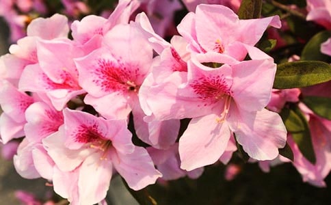 ���N������(10ƪ)