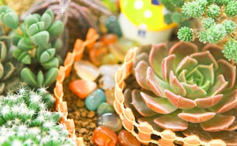 �B��(qi��ng)�Ķ�������