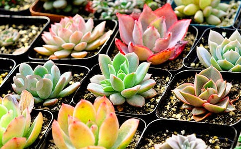 �N�������ģ���(y��u)��8ƪ��