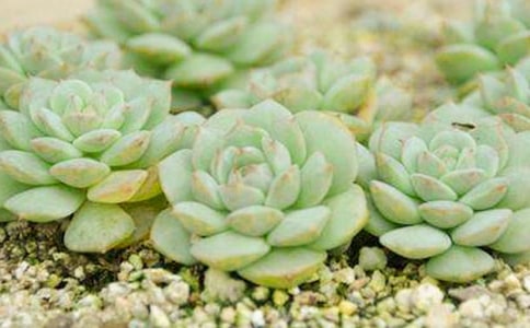 �ɐ�(��i)�Ķ�������