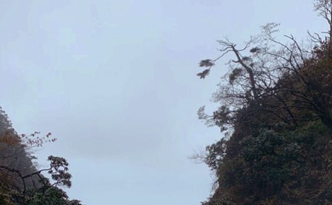 峨眉山之旅作文【精選】