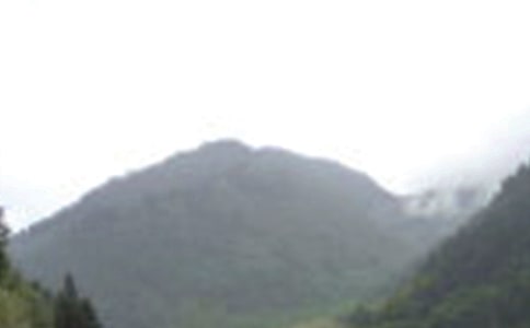 �ζ�üɽ���ģ����x��