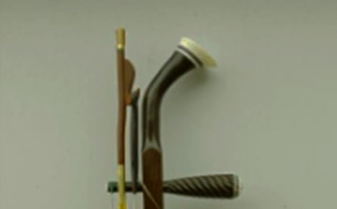 (實用)二胡的作文