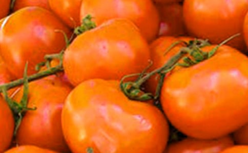 �����c����ͬʳ�������վS����C�Ͷ�����|(zh��)