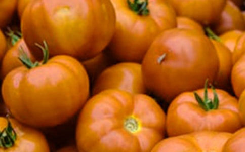 ���ѳ�������