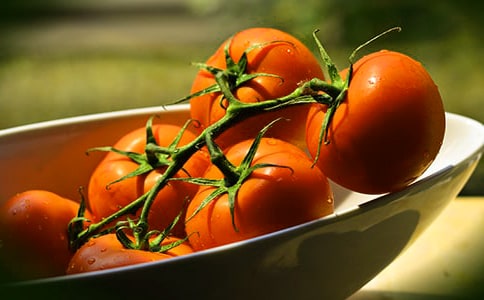 番茄的作文(推薦)