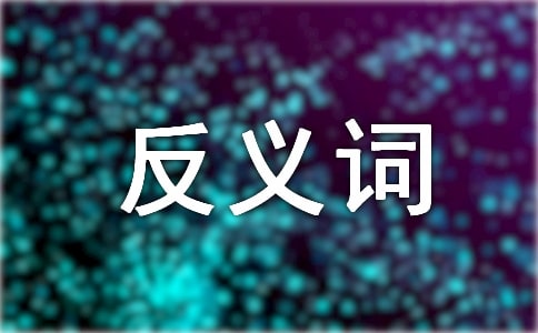 憂慮的反義詞是什么