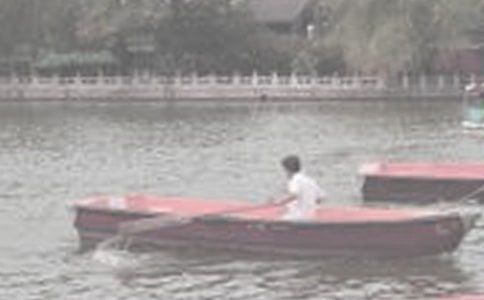 書海泛舟作文(精選31篇)