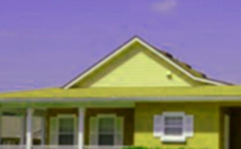 會(huì)走路的小房子讀后感