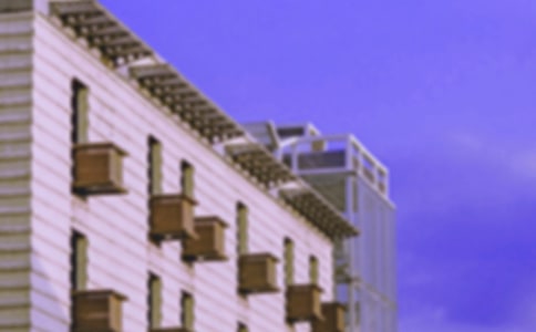 新房子與老房子作文