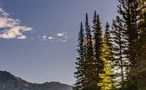 �L(f��ng)�����~�Z(y��)15ƪ[��(y��u)��]