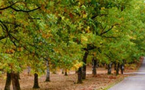 通用形容風(fēng)景的句子17句