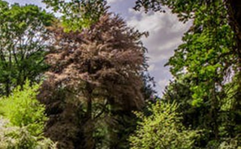 風(fēng)景的詩句