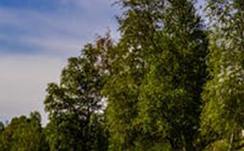 ��һ̎�L(f��ng)������500�֣����x15ƪ��