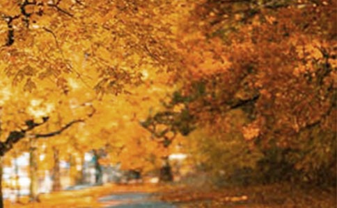 �L(f��ng)�����~�Z(y��)