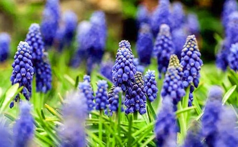 ���]���L(f��ng)��������15ƪ