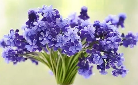 �L(f��ng)����