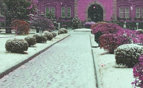 ���L(f��ng)ѩ����