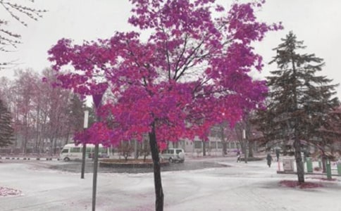 �L(f��ng)ѩ��Ԋ��160��