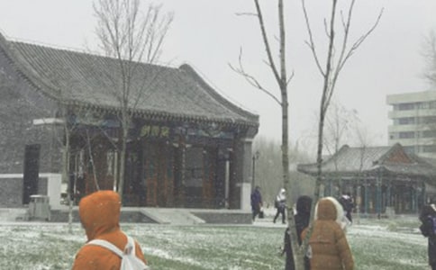 �茑���L(f��ng)ѩ�ľ���60��