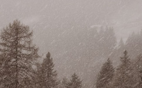 ���P(gu��n)�L(f��ng)ѩ��Ԋ(sh��)��