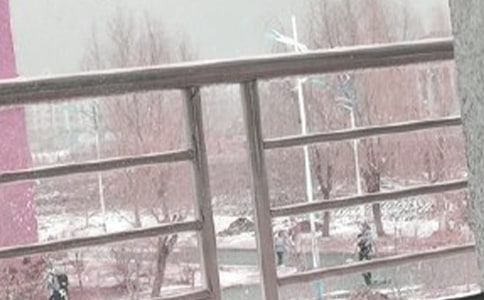 (����)���L(f��ng)ѩ����11ƪ