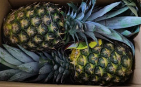 ��(sh��)�õ��P�滨�ķ�ֳ����