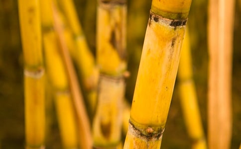 �P(gu��n)�ڰ�ҹ�Ը���Ъ���Z(y��)