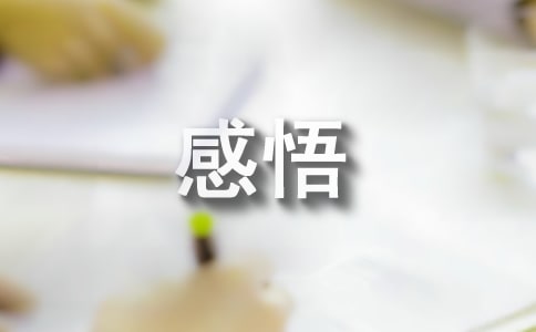 看沉默的榮耀心得感悟(精選25篇)