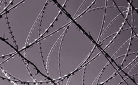 ��F��I(y��)���I(y��)�L(zh��ng)����������(b��o)�棨���x5ƪ��