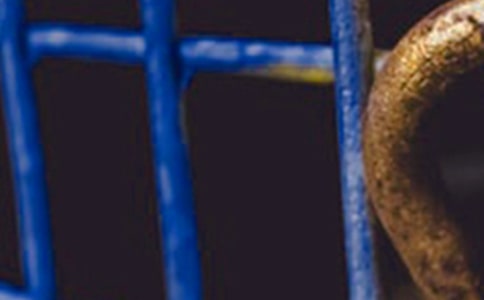 觀看鋼鐵意志觀后感15篇【推薦】