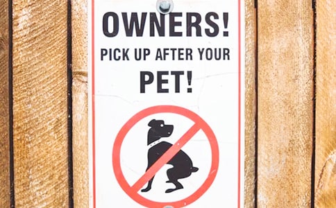 ע�N�Ĺ���(��ȫ15ƪ)