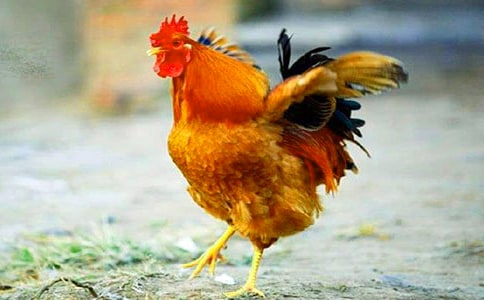 �P(gu��n)�ڹ��u�ĳ��Z(y��)