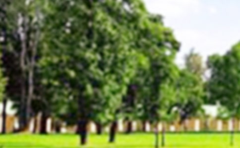 寫(xiě)景公園的作文