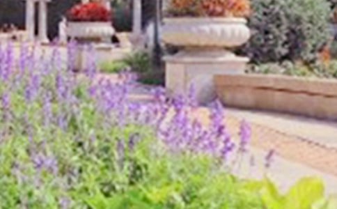 [��(j��ng)��]�������@����