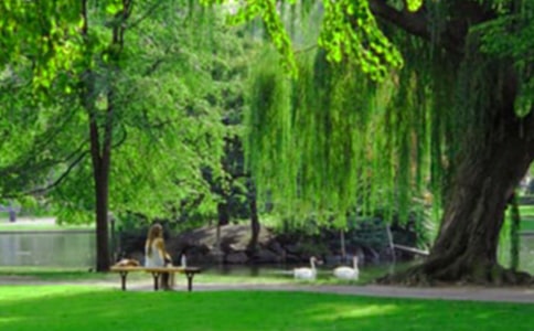 ��(sh��)�õĹ��@����600��