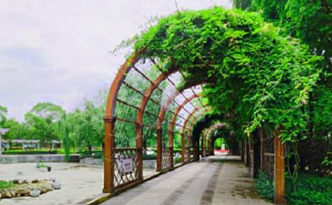 寫景公園作文精華【8篇】