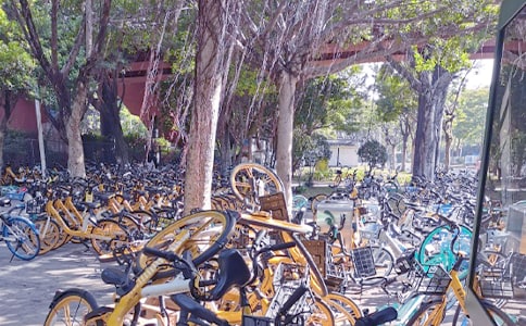 共享時(shí)代——共享單車作文900字