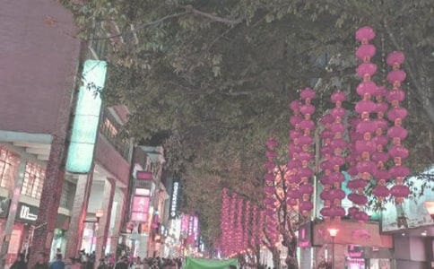 讀《時代廣場的蟋蟀》有感15篇